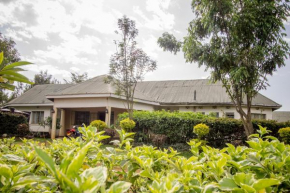 Hotels in Trans-Nzoia District